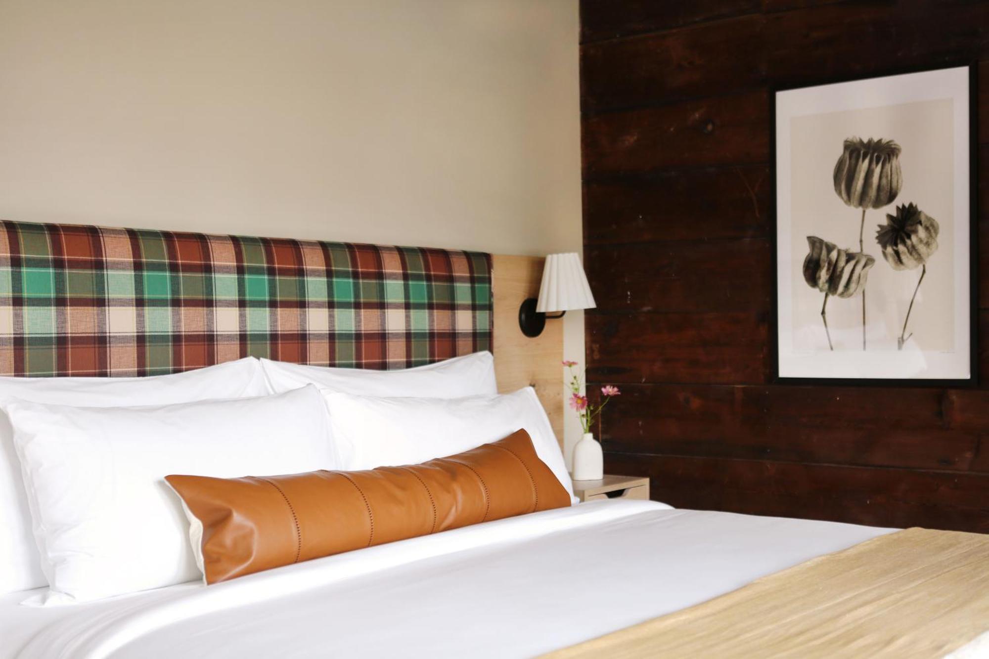 Kingston Carriage House Bed & Breakfast Dış mekan fotoğraf